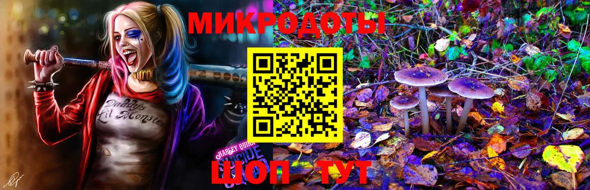 Псилоцибиновые грибы Psilocybe  Псилоцибиновые грибы ЛСД  Оренбург  Вход с VPN 